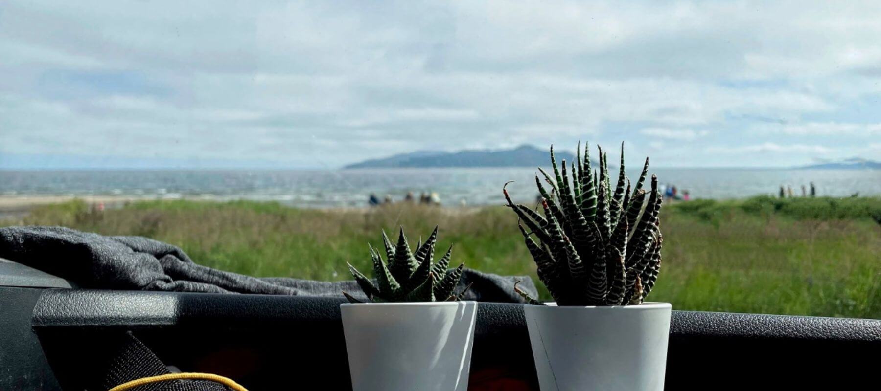 Lonavity travelling at Sept-Iles in Quebec parked by the St. Lawrence River beach, Vanlife bring your plants with you, view of our cactus in the Van