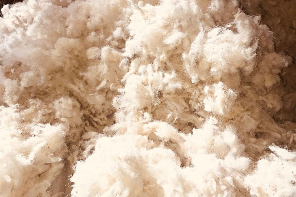 Havelock Wool insulation is a company that uses sustainable building materials. Their product is 100% wool and is perfect for insulating your van