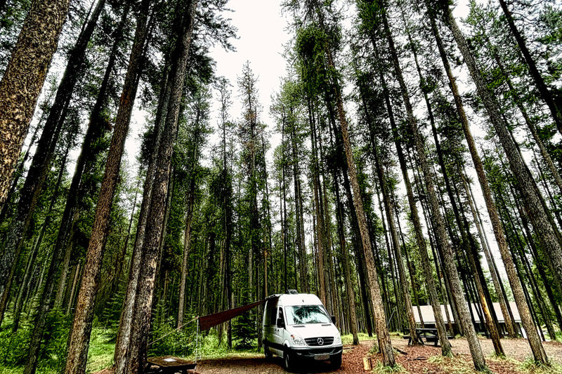 Lonavity camping in Banff, beautiful view of the trees, exploring Canada, Two Jacks Campground