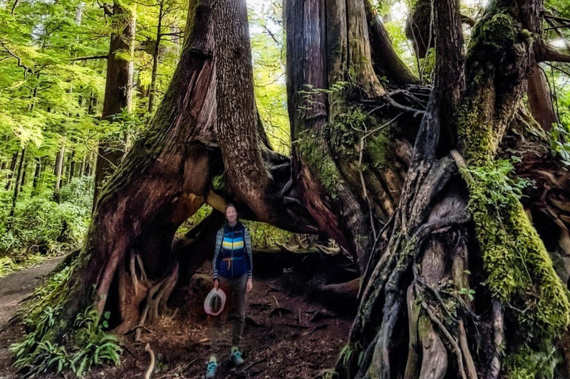 San Josef Bay hiking in Wood. Did a road trip with the van conversion