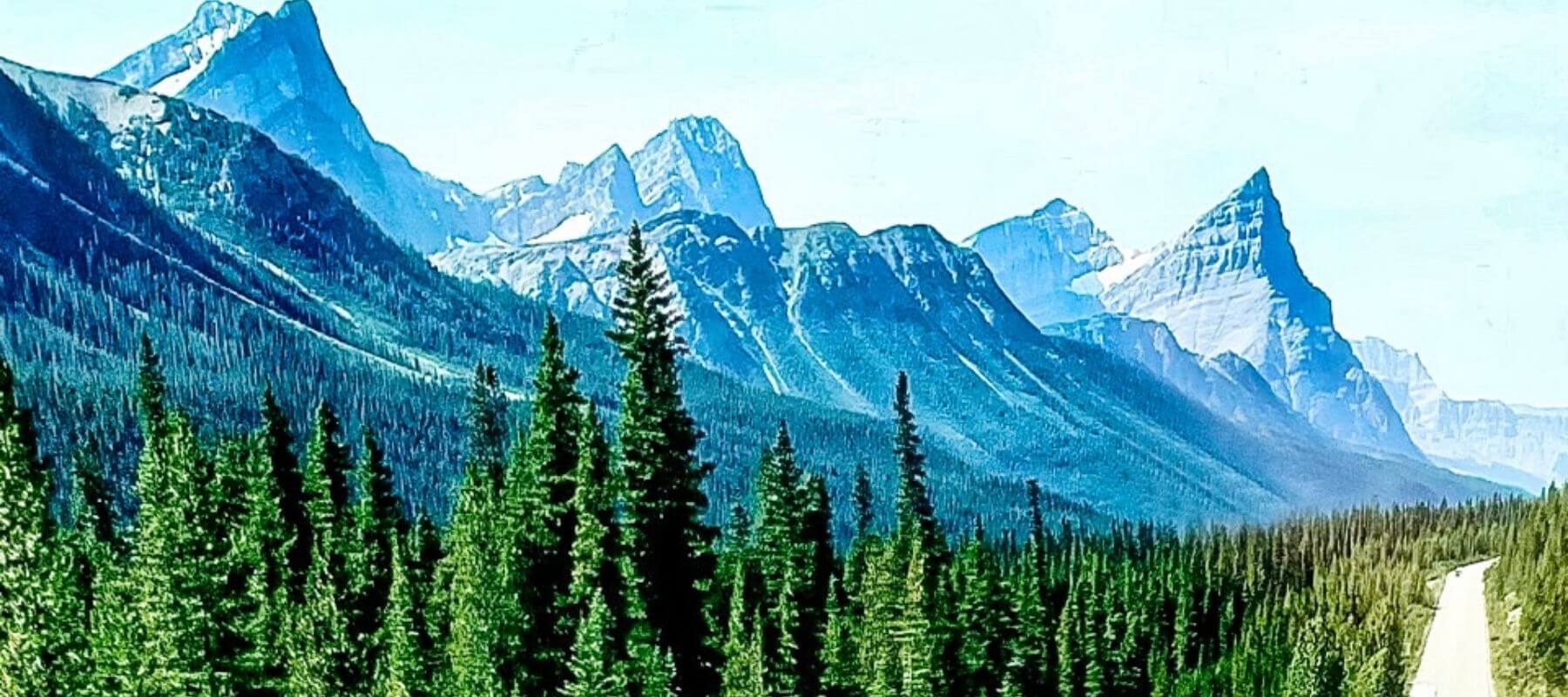 Vanlife Driving by the BC Mountains and the beautiful Forest surrounding us. A beautiful day sunny a blue sky with white clouds