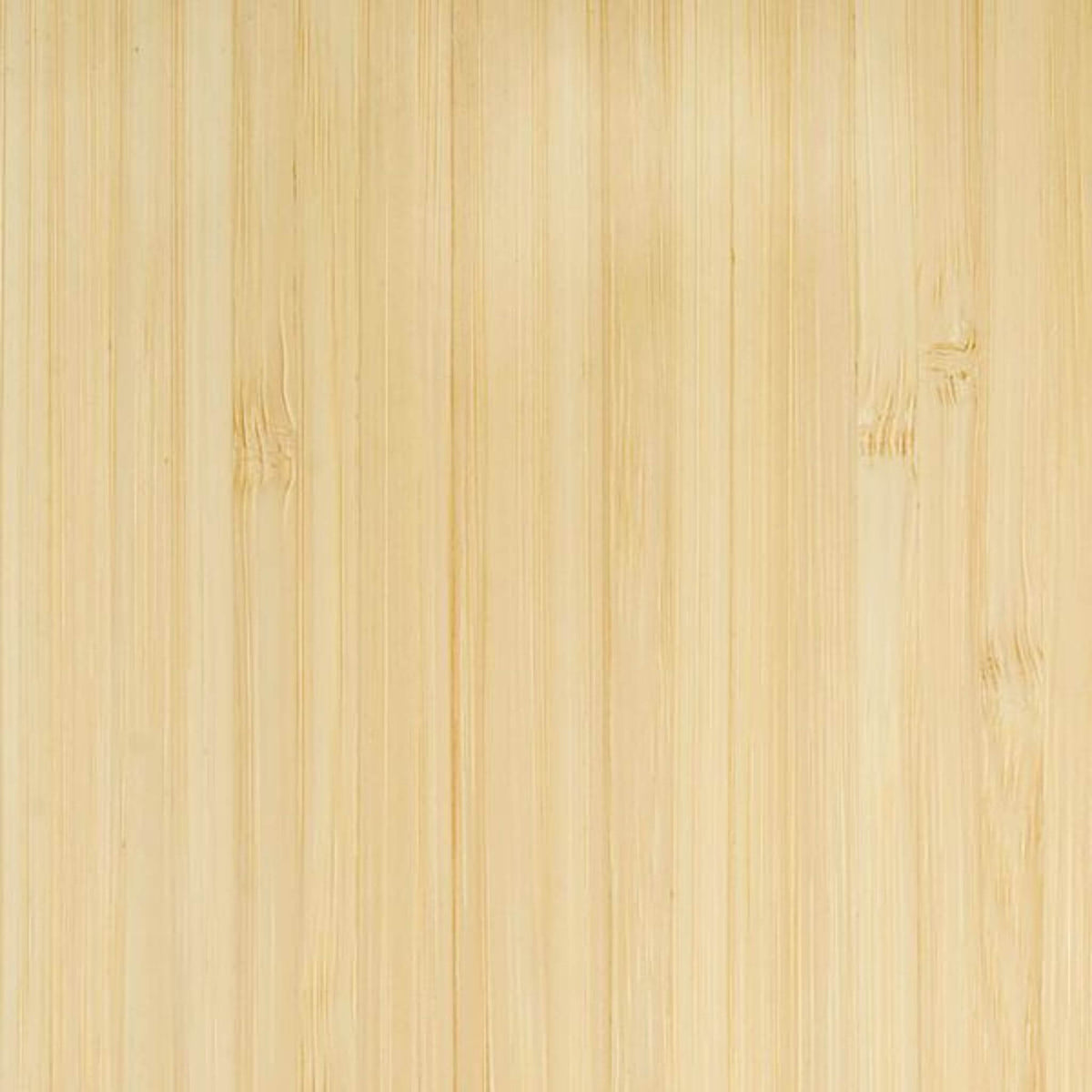 Feuilles de contreplaqué de bambou laminée croisée durables pour la construction de meubles de van