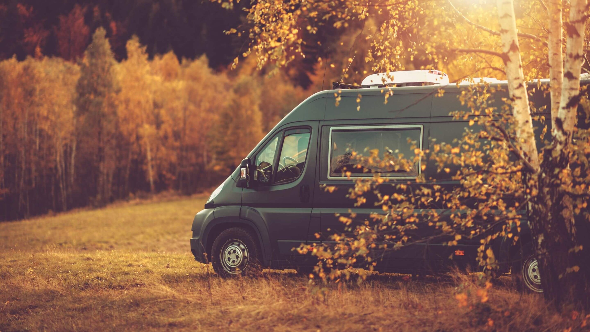 Warm journeys, endless horizons — chauffage Webasto installé dans votre ProMaster pour des aventures confortables même en hiver.