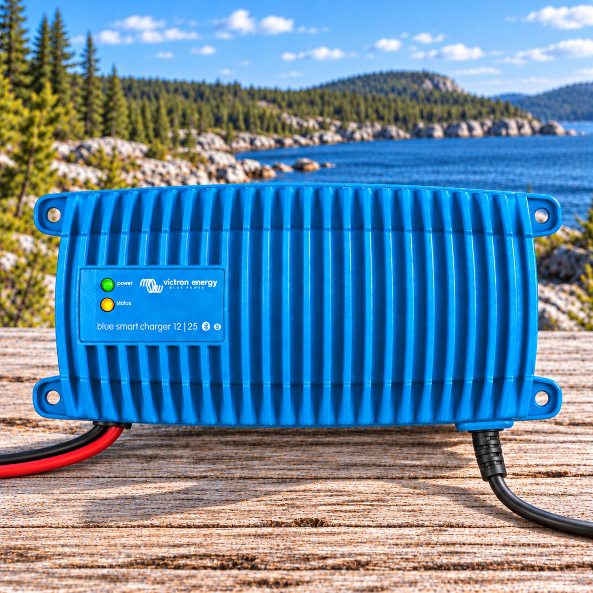 Chargeur de batterie Victron Energy Blue Smart Charger 12V 25A pour systèmes électriques de van