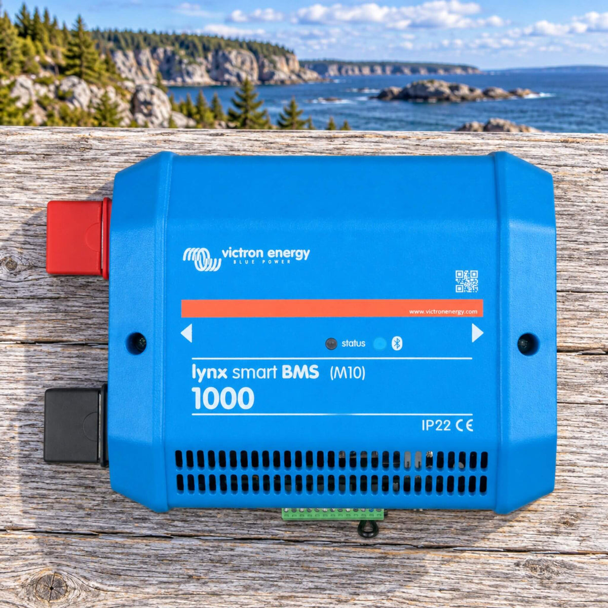 Victron Energy Smart BatteryProtect 48 100 battery protection for off-grid power systems