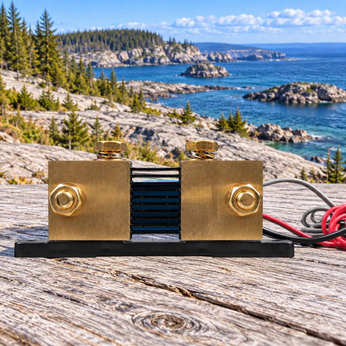 Victron Energy SmartShunt IP65 battery monitoring for van electrical systems