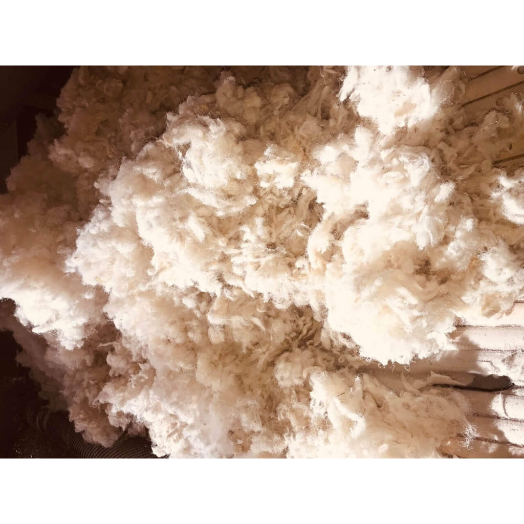 Havelock Wool Van Insulation for Vanlife